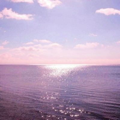 公海贵宾会体育娱乐APP/手机APP下载