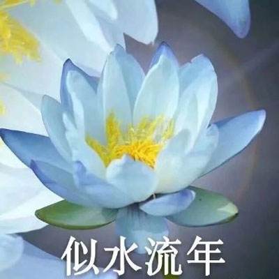 华夏招鑫鸿瑞混合C净值上涨3.55%