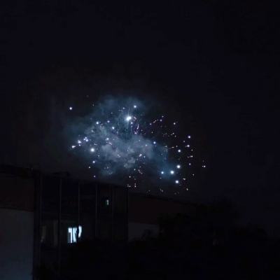 蔡宏嘉
