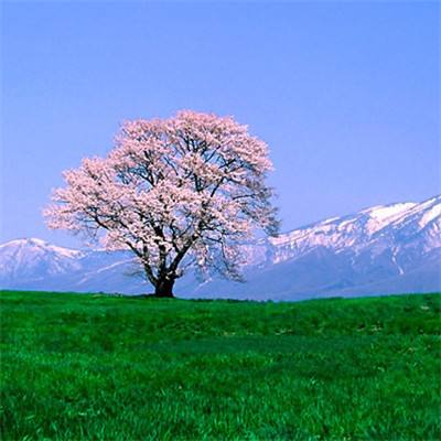 重磅合作频现 AI制药重构药物研发产业格局