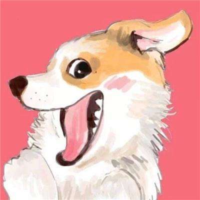 金年会综合app官方版(中国)APP下载安装
