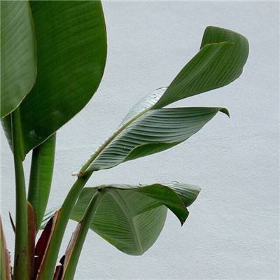 白银基金多数投资者已完成和解事宜