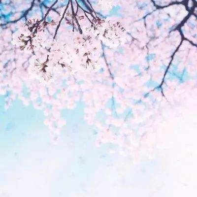 僵尸榨汁机无敌版无限钻石版