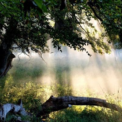 leyu乐鱼体育游戏