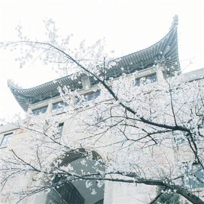 中金:中东资金回来了吗?