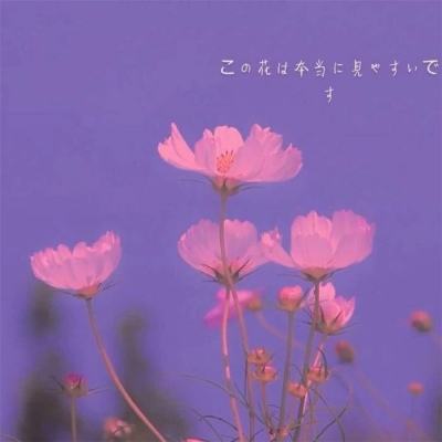 黎巴嫩总统:以色列与黎巴嫩冲突本可避免