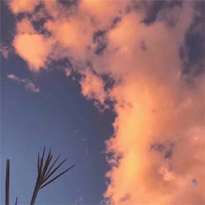 迈瑞与GMSL™3：微创手术，超清...