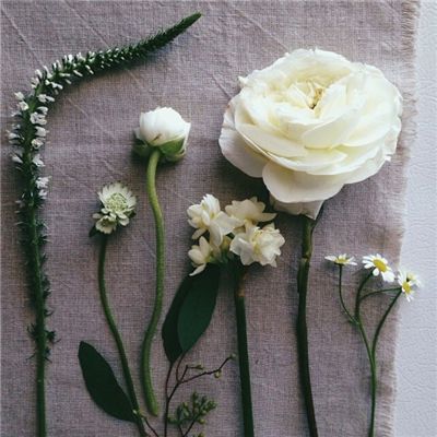 A股收评:三大指数收跌!保险、贵金属股下挫,油气、电池股走强