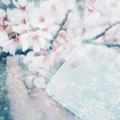 美国国家航空航天局（NASA）斥资200亿美元建造月球基地，取消月球轨道站对雄安的发展前景 我们充满信心