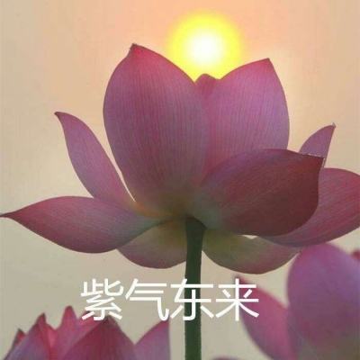长城消费增值混合C净值上涨3.85%