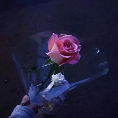 彩多多彩票娱乐下载app/手机app下载