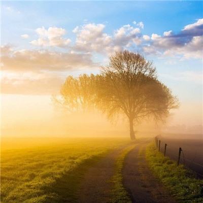 总有刁民想害朕2