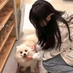 leyu乐鱼体育游戏