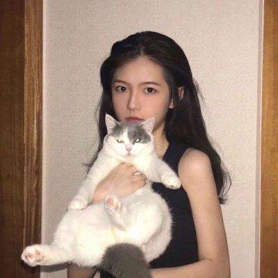 狗狗被扎针后连续8年到宠物医院医闹